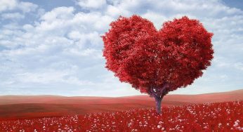 7 Ways To Celebrate Valentine’s Day If You Are Single