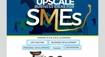 Everything You Need To Know About The “Upscale Business Ideas For SMEs & Startups”
