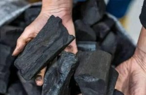 30 Reasons You Should Always Have Charcoal In Your House: 30 Ways Charcoal Can Save Your Life